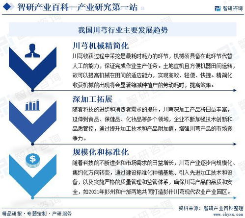 中國川芎行業發展驅動因素與市場運行格局分析報告