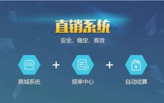 軟件批發(fā)與供應(yīng) 郵編商務(wù)網(wǎng)youbian.com的全面信息技術(shù)咨詢(xún)服務(wù)